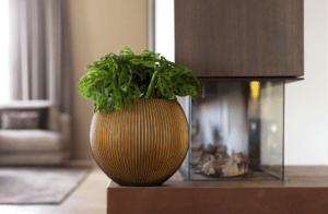 Nova Design & Build - Vas de plante Capi în forma bilă - Groove XL - Black Gold - Setting