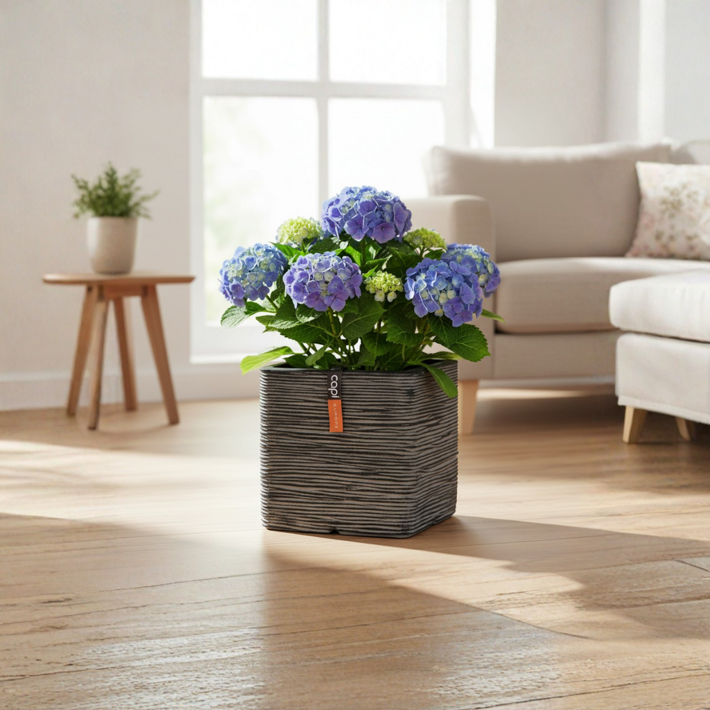 Nova Design & Build - Ghiveci Capi - Jardinieră în formă pătrată 30x30x30 cm - Rib NL - Antracit