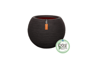 Nova Design & Build - Vas de plante Capi în formă bilă - Rib NL - Black