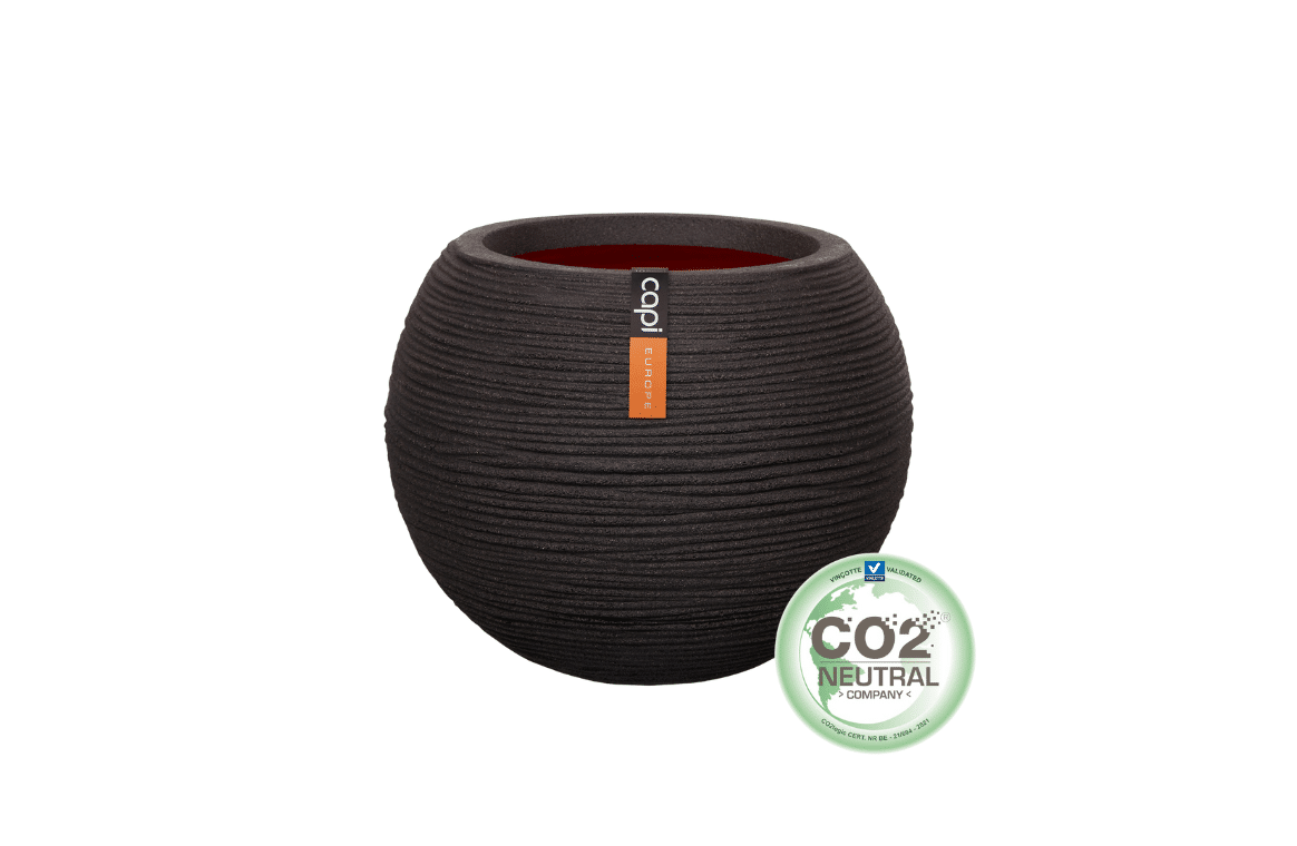 Nova Design & Build - Vas de plante Capi în formă bilă - Rib NL - Black