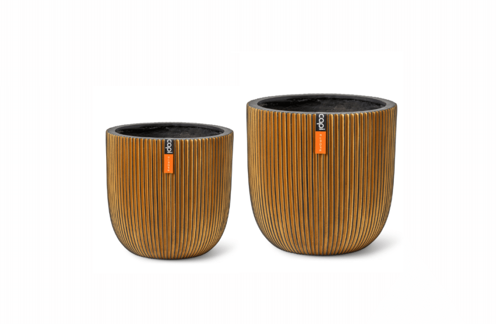 Nova Design & Build - Set Ghiveci Capi - Jardinieră în formă de ou - Groove - Black Gold