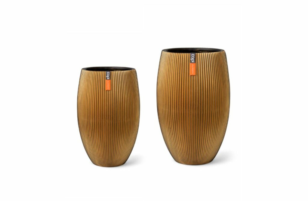Nova Design & Build - Set Ghiveci Capi - Vas de plante elegant deluxe - Groove - Black Gold