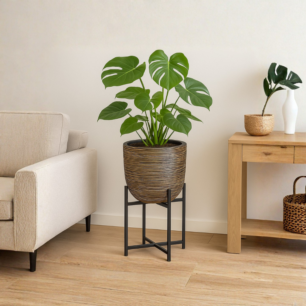 Nova Design & Build - Ghiveci Capi - Jardiniera in forma de ou 43x41 cm - Rib NL - Black Gold